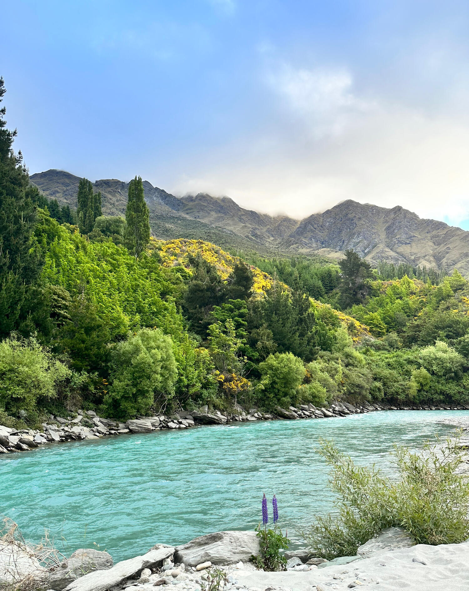 Captivating vista of vibrant blue waters cascading through the Shotover River Canyon in New Zealand, showcasing nature's awe-inspiring beauty and tranquility